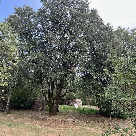 Villa Luxurious Family House With Pool In Ardeche.